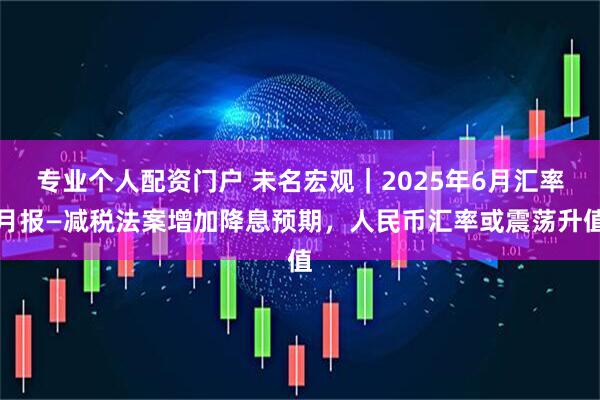 专业个人配资门户 未名宏观｜2025年6月汇率月报—减税法案增加降息预期，人民币汇率或震荡升值