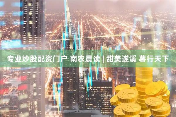 专业炒股配资门户 南农晨读 | 甜美遂溪 薯行天下